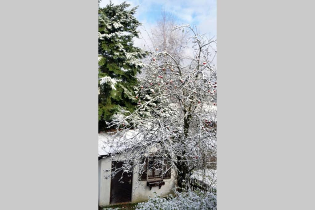 Landhaus Haid Presseck Dış mekan fotoğraf