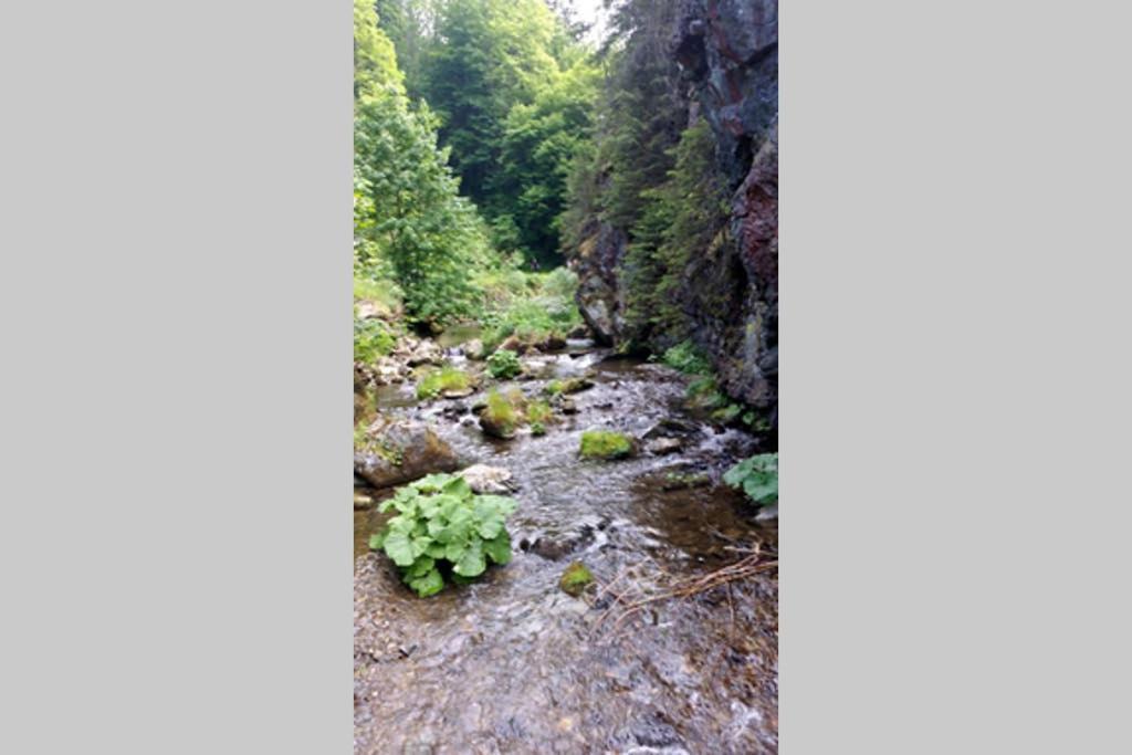 Landhaus Haid Presseck Dış mekan fotoğraf