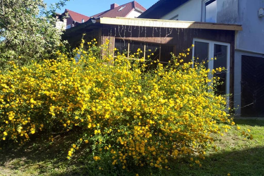 Landhaus Haid Presseck Dış mekan fotoğraf